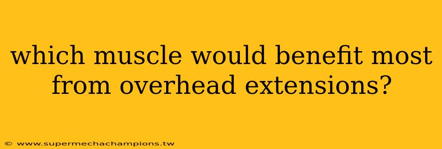 which muscle would benefit most from overhead extensions?