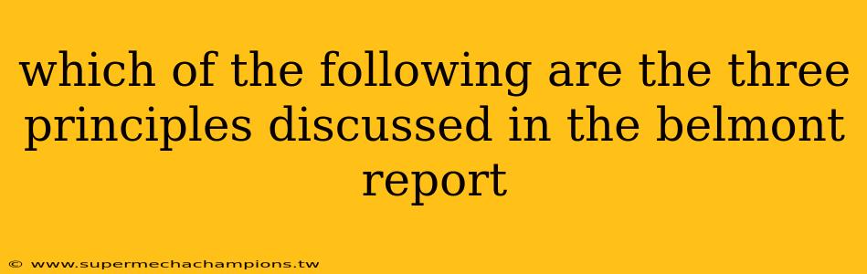 which of the following are the three principles discussed in the belmont report