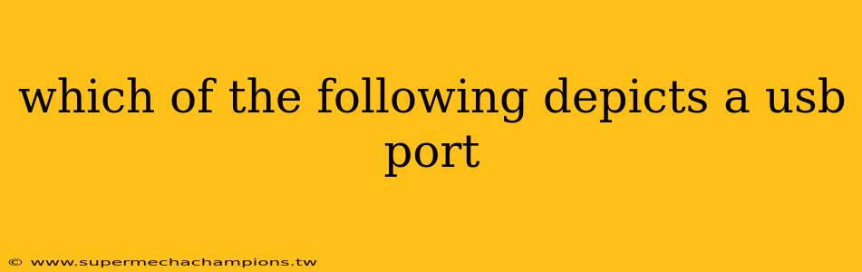 which of the following depicts a usb port