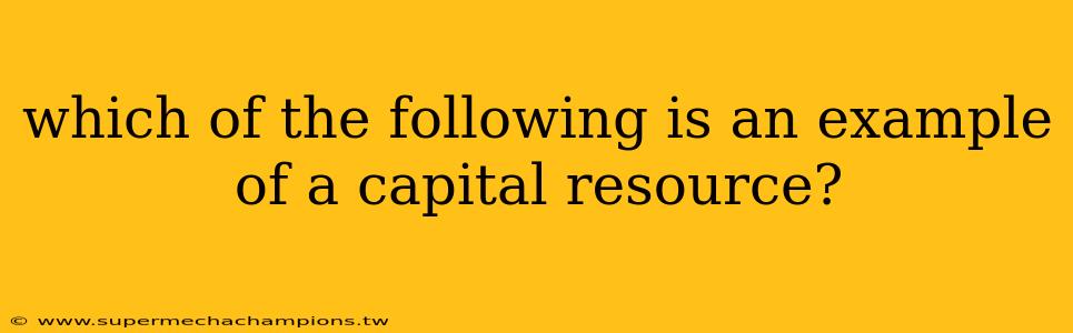 which of the following is an example of a capital resource?