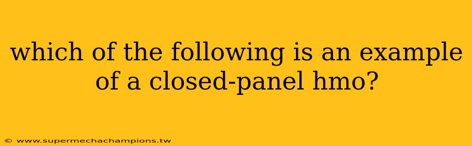which of the following is an example of a closed-panel hmo?
