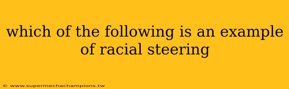 which of the following is an example of racial steering