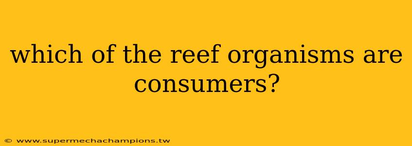 which of the reef organisms are consumers?