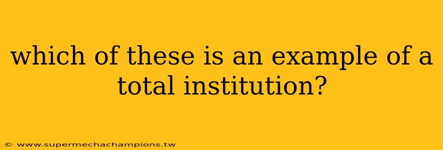 which of these is an example of a total institution?