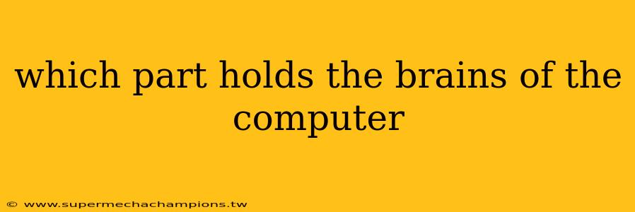 which part holds the brains of the computer