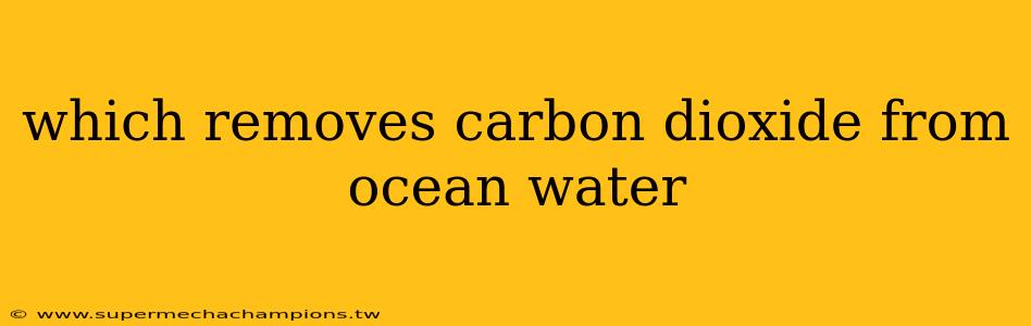which removes carbon dioxide from ocean water