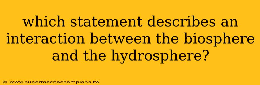 which statement describes an interaction between the biosphere and the hydrosphere?