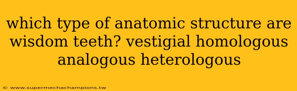 which type of anatomic structure are wisdom teeth? vestigial homologous analogous heterologous