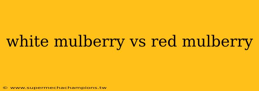 white mulberry vs red mulberry