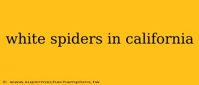 white spiders in california