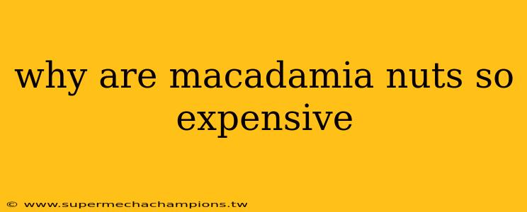 why are macadamia nuts so expensive