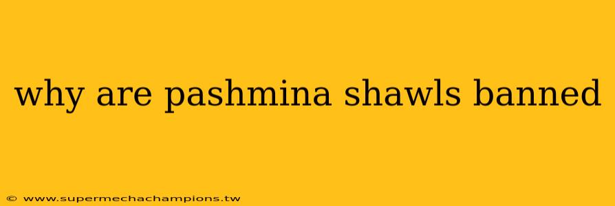 why are pashmina shawls banned