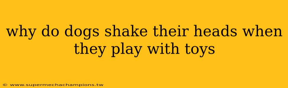 why do dogs shake their heads when they play with toys