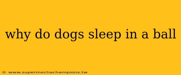 why do dogs sleep in a ball