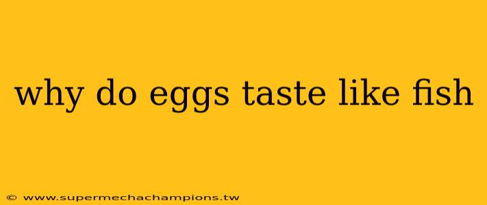 why do eggs taste like fish