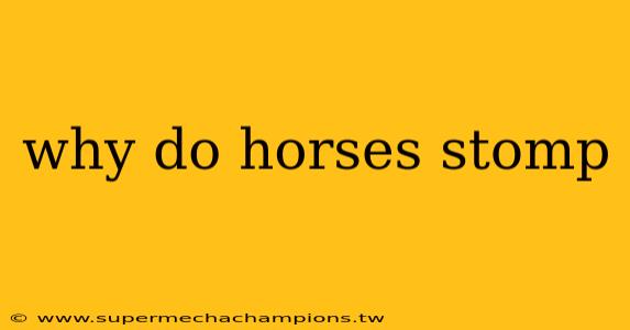 why do horses stomp