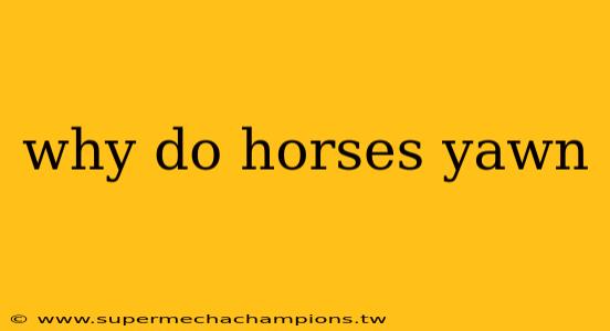 why do horses yawn