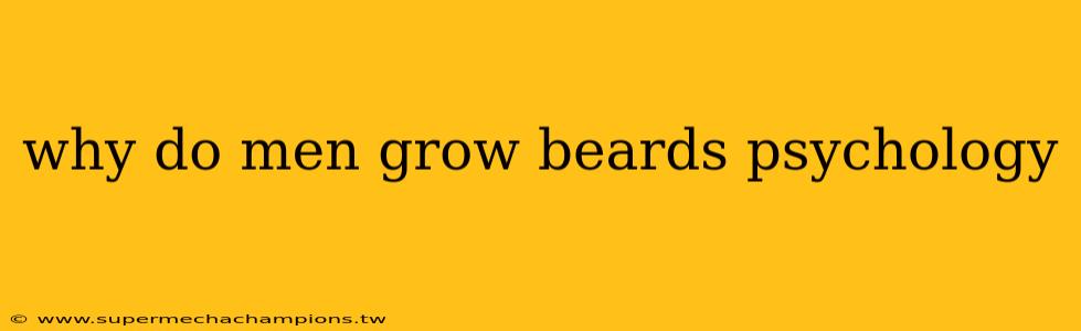 why do men grow beards psychology