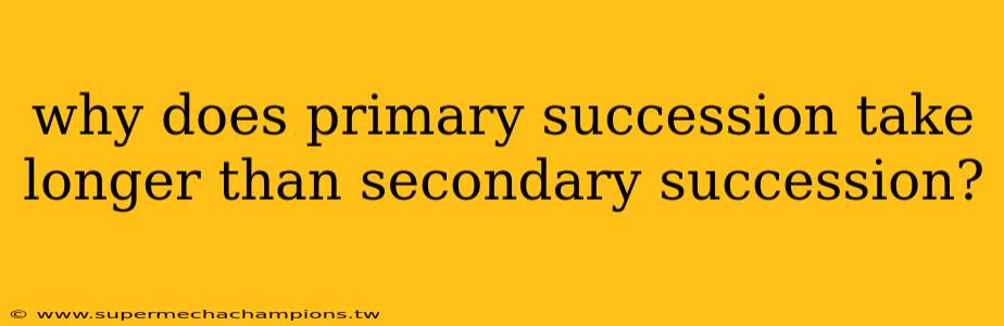 why does primary succession take longer than secondary succession?