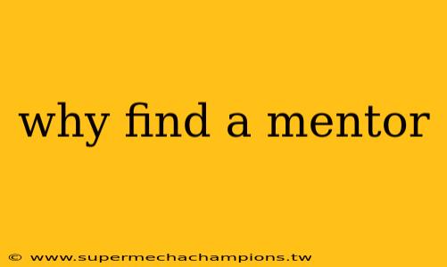 why find a mentor