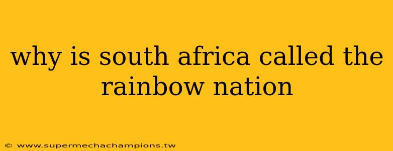 why is south africa called the rainbow nation