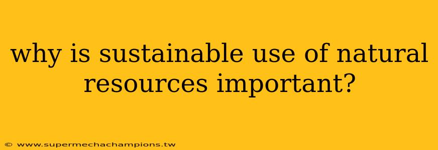 why is sustainable use of natural resources important?