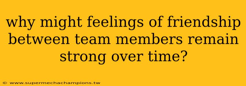 why might feelings of friendship between team members remain strong over time?