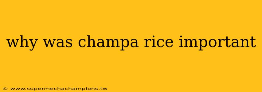 why was champa rice important