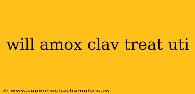 will amox clav treat uti