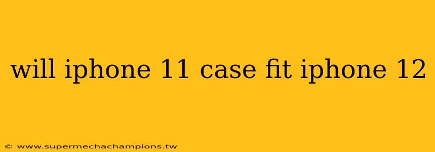 will iphone 11 case fit iphone 12