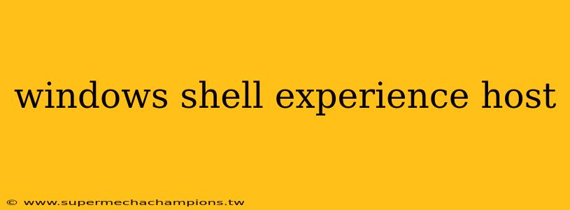 windows shell experience host