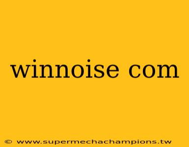 winnoise com