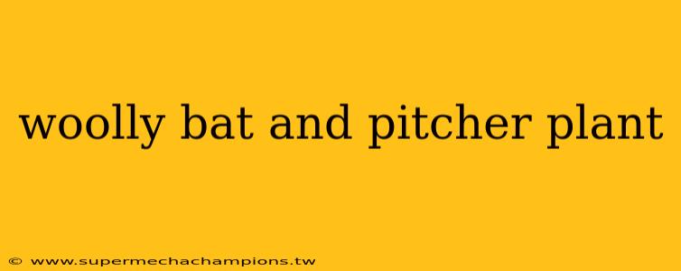 woolly bat and pitcher plant
