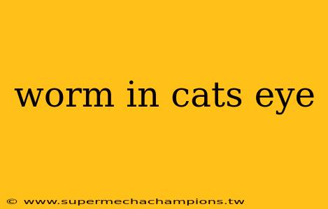 worm in cats eye