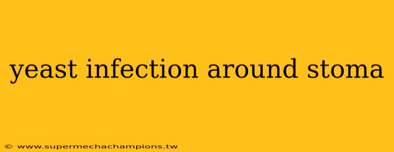 yeast infection around stoma
