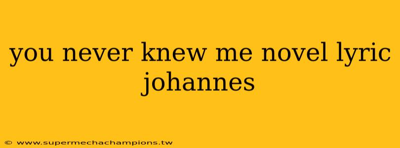 you never knew me novel lyric johannes